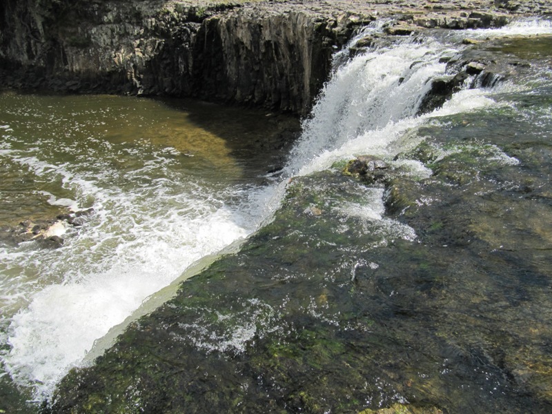 Haruru Falls