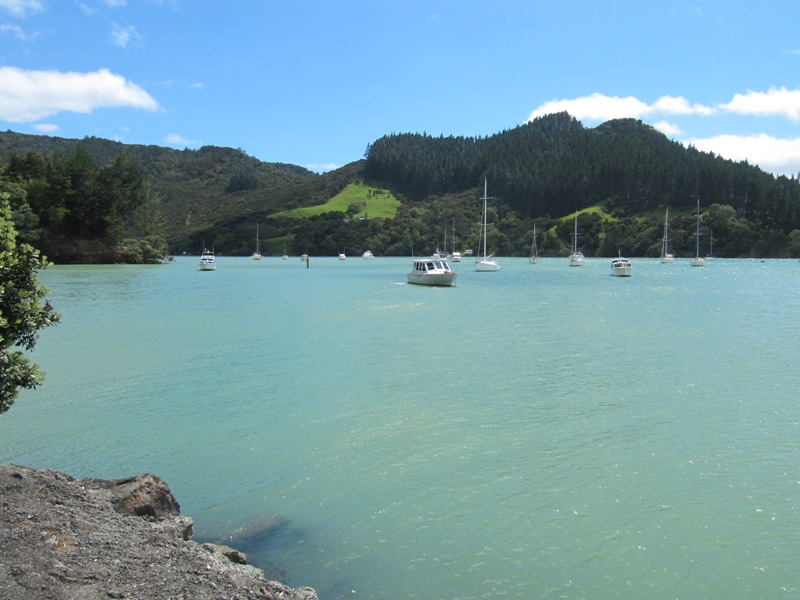 Tauranga Bay