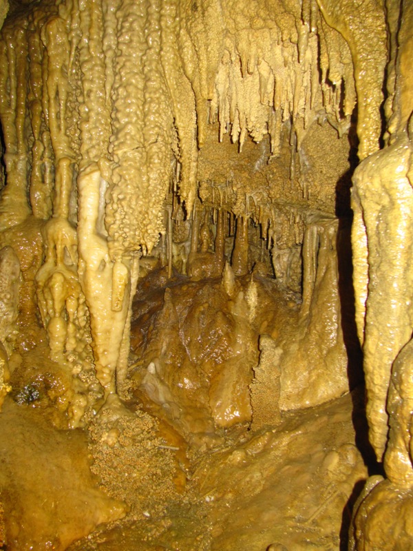 Ngarua Caves