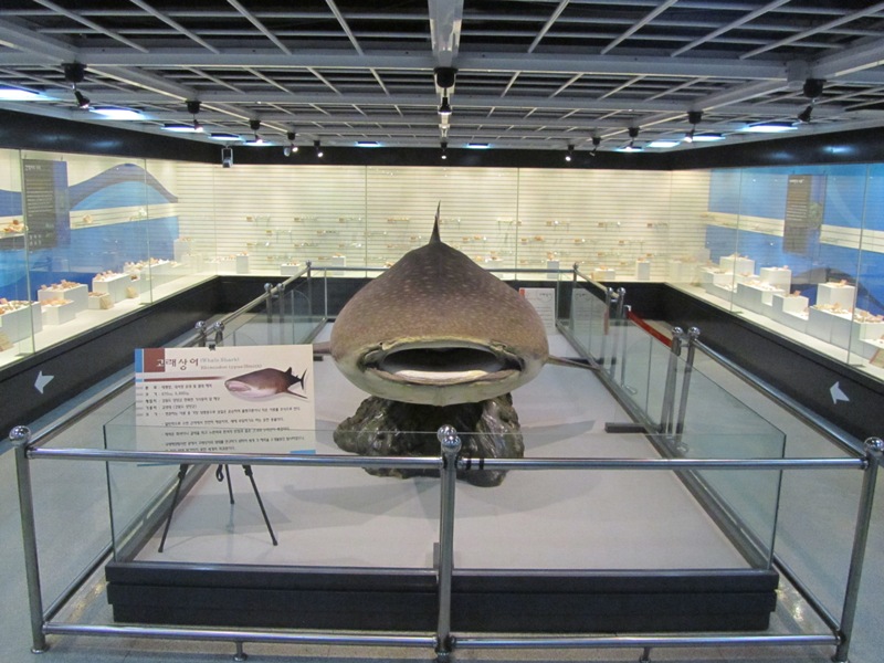 Busan Marine Museum
